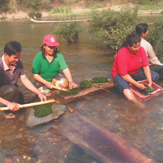 Kaipen: The Divine Lao Crispy River Weed Delight