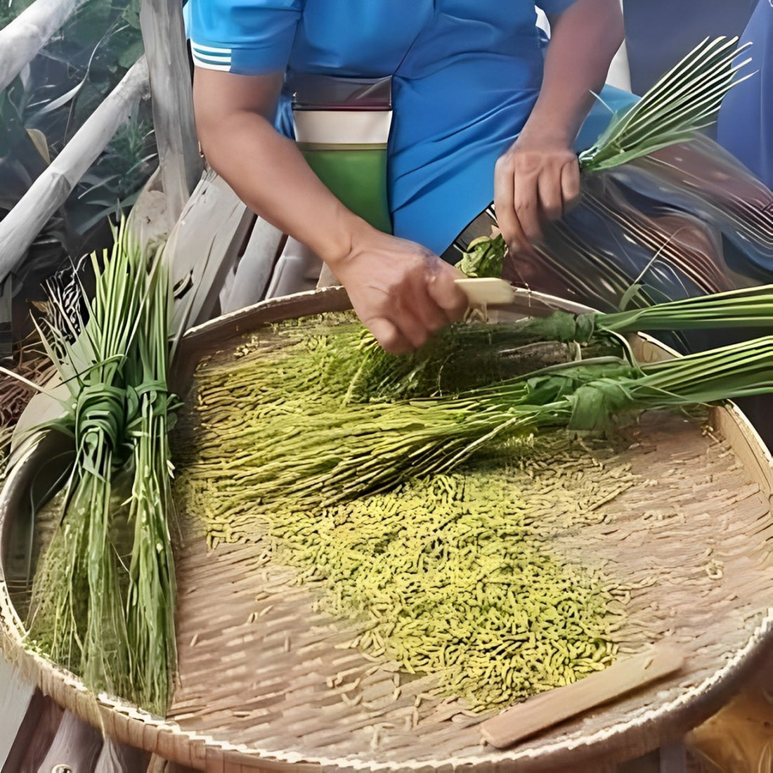 Discover the Delicacy of Kao Mao: A Step-by-Step Guide to Lao Green Rice