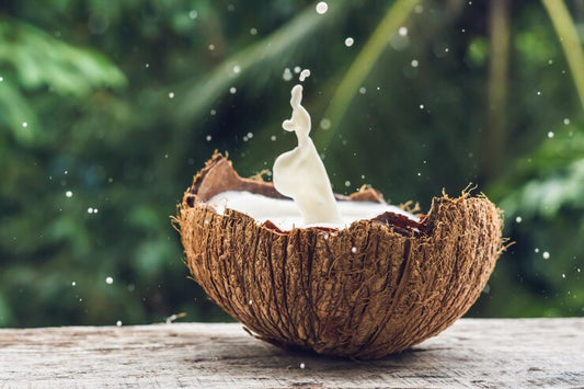 The Timeless Beauty of Coconut Ladles in Laos